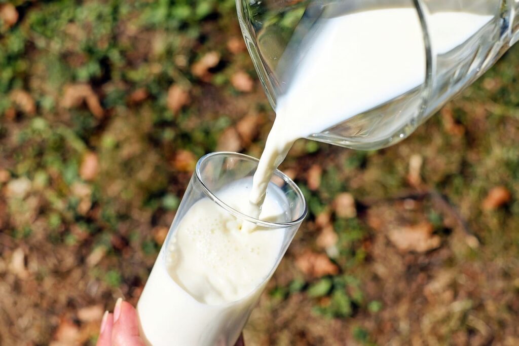 Um copo de leite tem quantas calorias - Veja a nutrição do leite e suas calorias