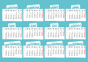 Quantos MESES tem 28 DIAS