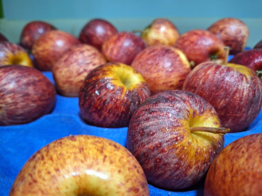 Imagem: Maçã vermelha. Quantas calorias tem uma maçã?