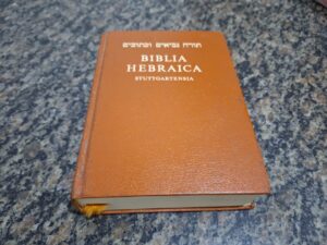 O Que Significa Sonhar com Leão Manso na Bíblia