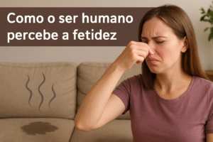 como o ser humano percebe a fetidez